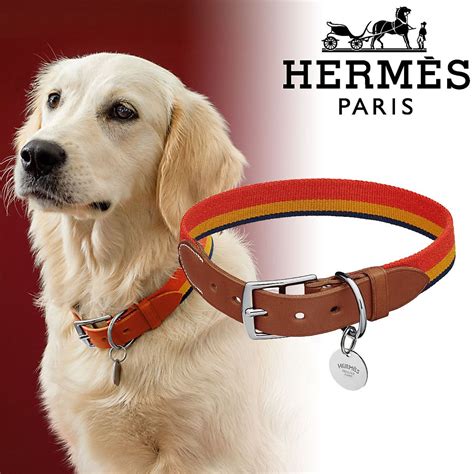 dog collar hermes scarf|hermes collars for dogs.